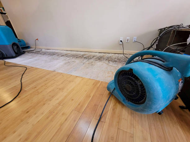 Professional Flood Damage Cleanup technician working in Coalton, OH